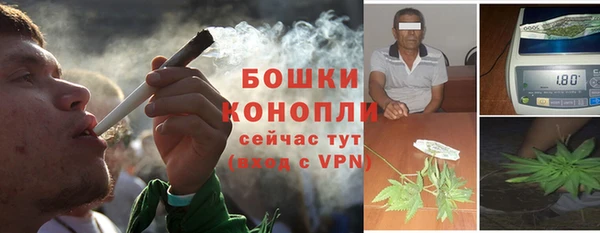 прущая мука Вяземский